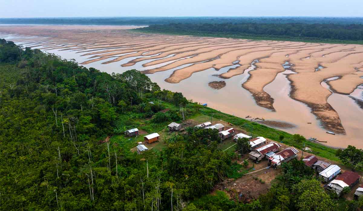 Estudo revela que a seca na Amazônia pode gerar clima não visto há 40 milhões de anos, transformando a floresta em emissora de carbono.