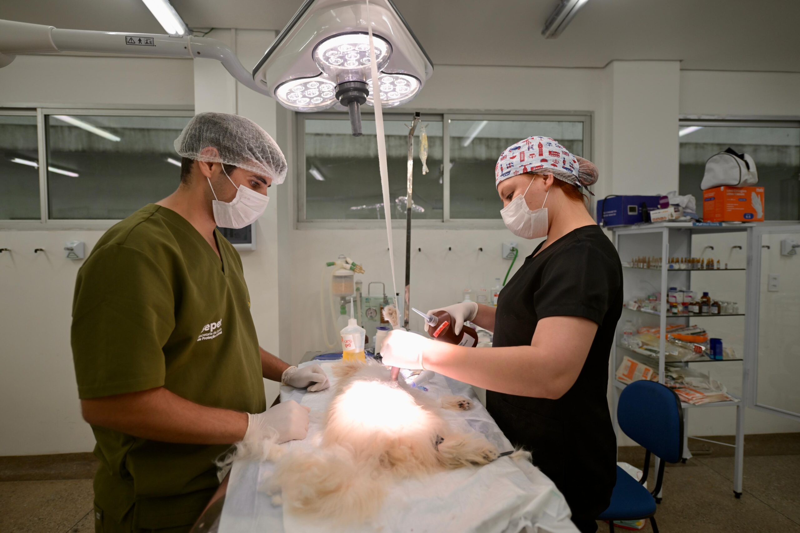 Saiba como funciona o Hospital Público Veterinário. Em 100 dias, unidade realizou 140 mil procedimentos e atendeu 15 mil animais no Amazonas.