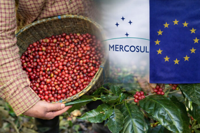 A agricultura familiar ganha força com o acordo Mercosul-UE. Ministro prevê isenção de taxas para café, frutas e queijos, impulsionando exportações.