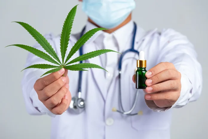 Anvisa atualiza normas para cannabis medicinal. Decisão amplia acesso a tratamentos, autoriza manipulação e fortalece setor no Brasil.