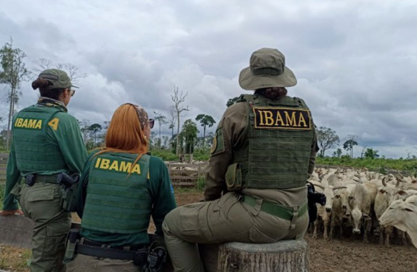 Com déficit de pessoal, multas do Ibama prescritas somam R$ 950 mi em 2025. CGU alerta para colapso nos julgamentos e risco de impunidade ambiental.
