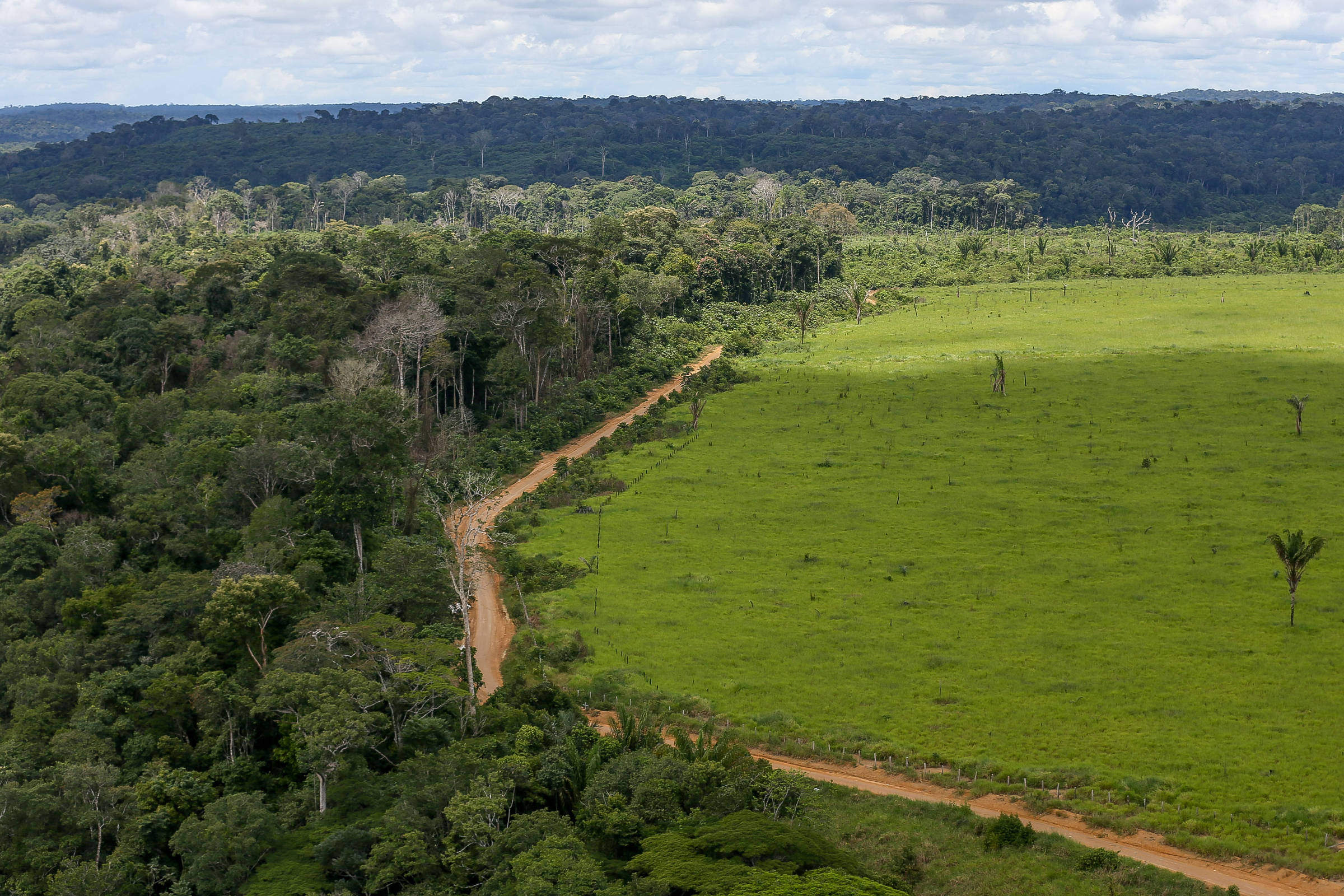 Governo abre edital para combate ao desmatamento na Amazônia com R$ 131,9 milhões do Fundo Amazônia e apoio a agricultores familiares.