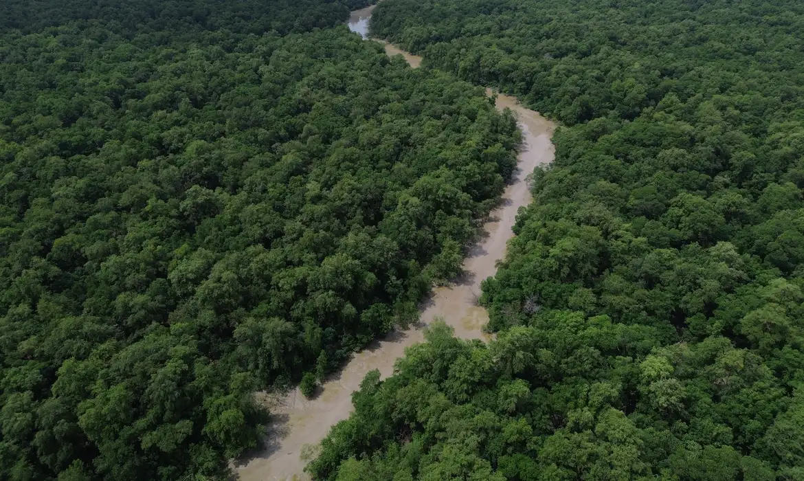 A Amazônia Legal concentrou 46,9% dos conflitos de terra no Brasil em 2023. Veja os dados da Oxfam Brasil sobre violência no campo e indicadores sociais na região.