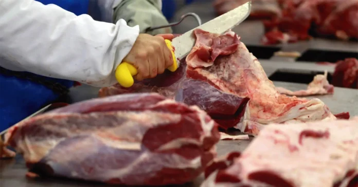 O setor de carne bovina brasileiro avança em negociações com a Coreia do Sul.