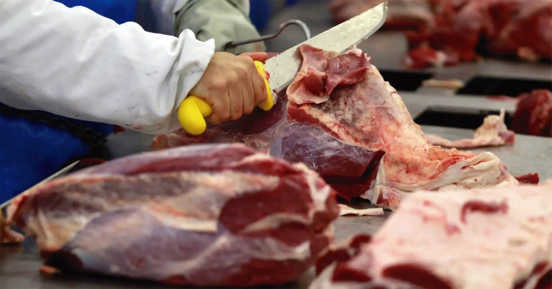 O setor de carne bovina brasileiro avança em negociações com a Coreia do Sul.