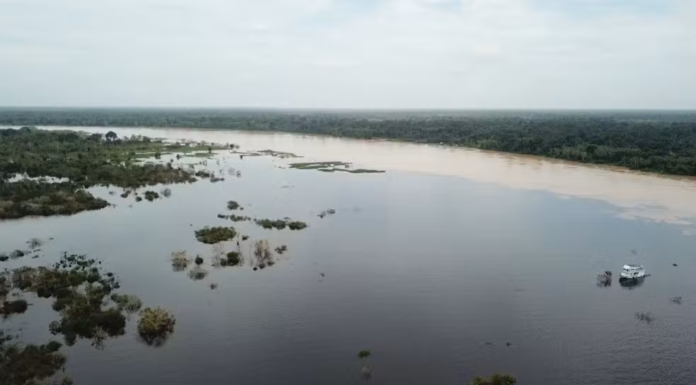 A cheia no Amazonas coloca Eirunepé em emergência e 11 cidades em alerta. Confira as medidas de apoio e a lista dos municípios atingidos pela enchente.