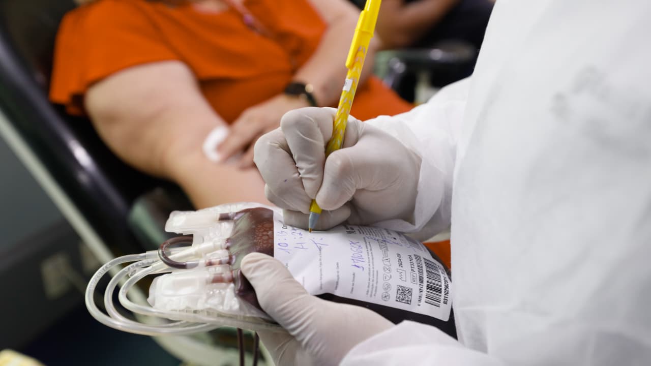 O Fevereiro Laranja conscientiza sobre leucemia e doação de medula óssea. Confira as leis da Aleam para o diagnóstico precoce e tratamento no Amazonas.