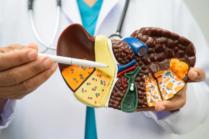 Saiba identificar os sinais de gordura no fígado e descubra como mudanças de hábitos podem reverter o quadro e prevenir complicações graves como a cirrose.