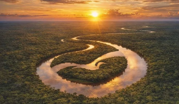 Prêmio Qualidade Amazonas chega à 33ª edição e reforça a valorização das boas práticas de gestão, inovação e produtividade no Amazonas.