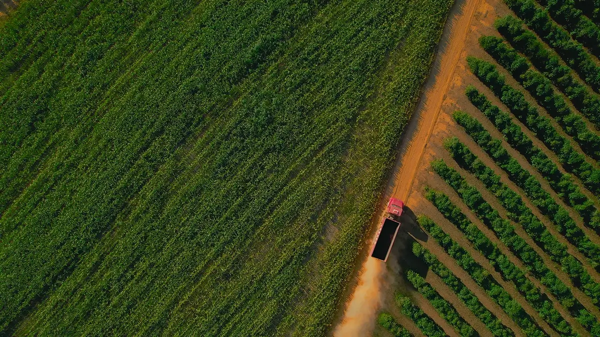 Entenda como a crise no Irã afeta o agronegócio brasileiro, elevando o preço de fertilizantes e impactando as exportações de soja e carne de frango.