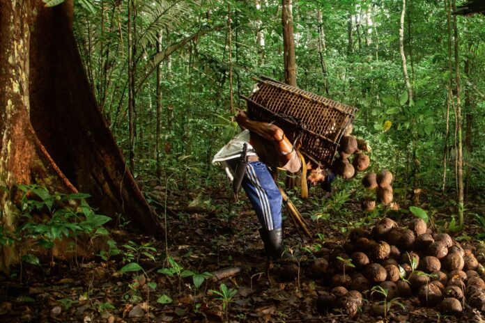 Participe do simpósio sobre Segurança e Sustentabilidade na Amazônia em Manaus. Submissão de trabalhos até 10 de abril. Inscreva-se e veja os eixos temáticos.