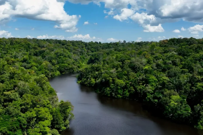 Fundo Clima mobilizou R$ 52,4 bilhões desde 2023 para financiar transição energética, indústria verde e projetos climáticos no Brasil.