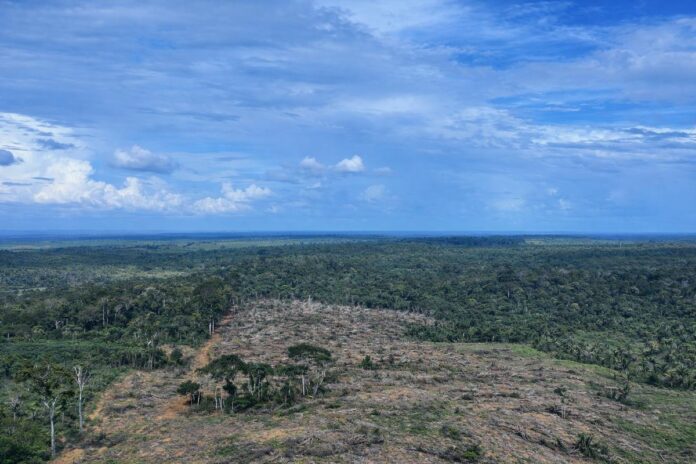 O Ipaam aplicou 465 mil reais em multas após identificar desmatamento equivalente a 49 campos de futebol em Apuí.