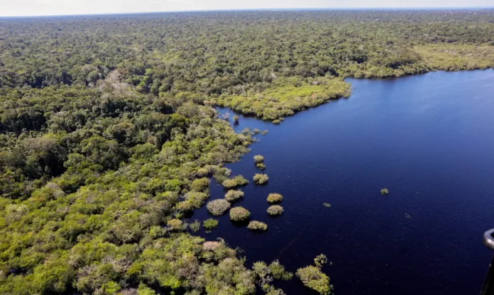 Restaura Amazônia recebe R$ 69,5 milhões para restaurar áreas protegidas em seis estados da Amazônia Legal e fortalecer cadeias da bioeconomia.