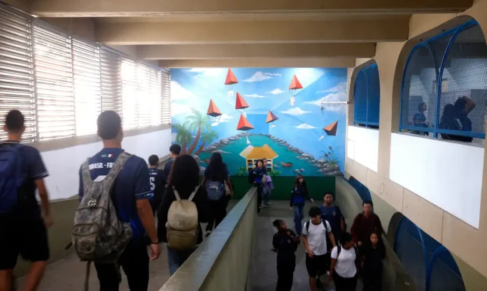 Dados do IBGE revelam que a saúde mental de adolescentes no Brasil exige atenção urgente.