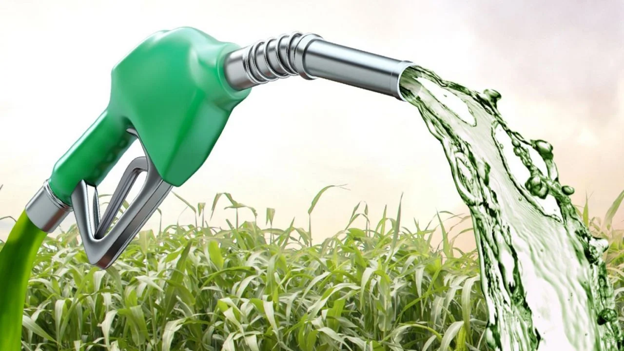 Biocombustíveis ajudam o Brasil a enfrentar a alta do petróleo, reduzir impactos de crises globais e fortalecer a segurança energética.