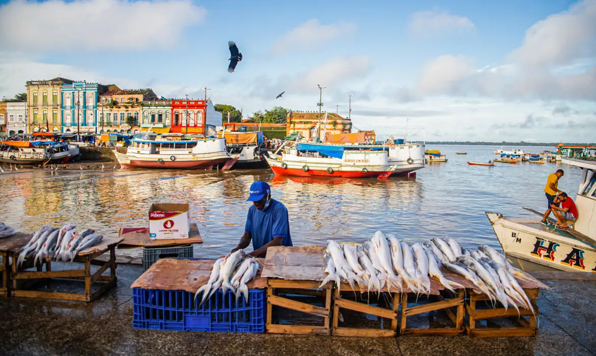 Estudo revela que peixes contaminados por mercúrio e arsênio na Amazônia superam limites legais, causando riscos de câncer e danos neurológicos em ribeirinhos.