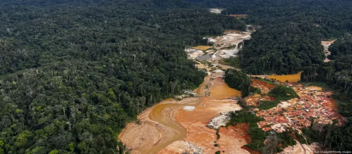 Veja como acordos de dívida funcionam para financiar a proteção ambiental e garantir a segurança das nações através da conservação de ecossistemas vitais.