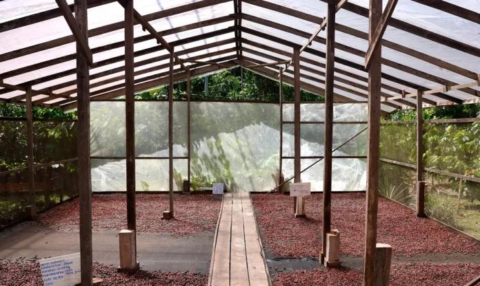 Edital de inovação na Amazônia oferece R$ 1,8 milhão para projetos sustentáveis no Amazonas, Pará e Rondônia. Inscrições até 19 de abril.