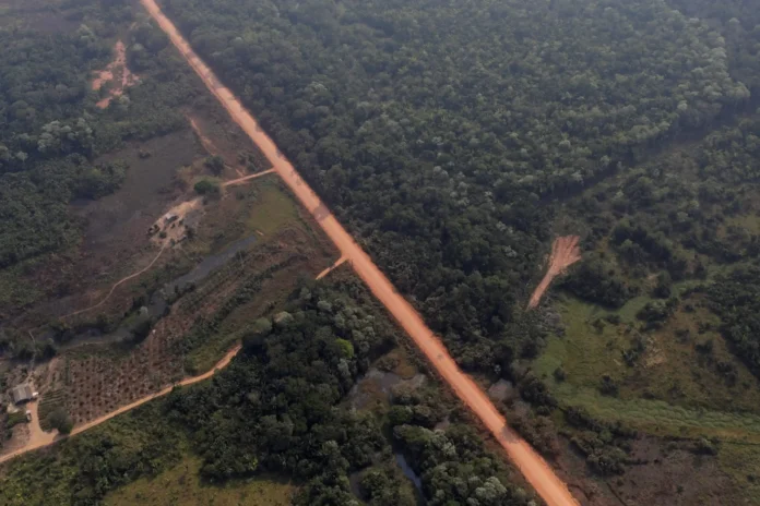 A pavimentação da BR-319 fortalecerá a logística da Zona Franca de Manaus, atraindo novas fábricas e ampliando a competitividade do Polo Industrial amazonense.