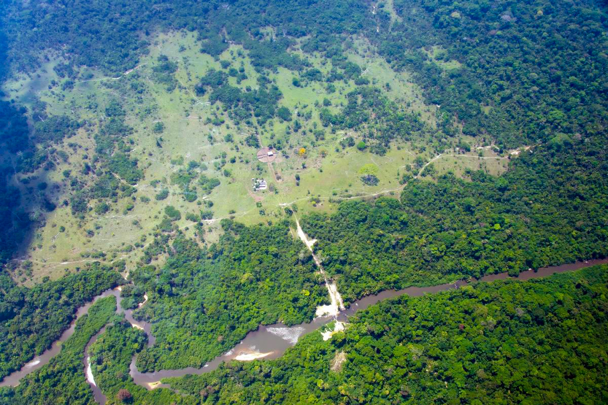 Dados da OTCA mostram que o desmatamento na Amazônia recuou 60% após pico de devastação.