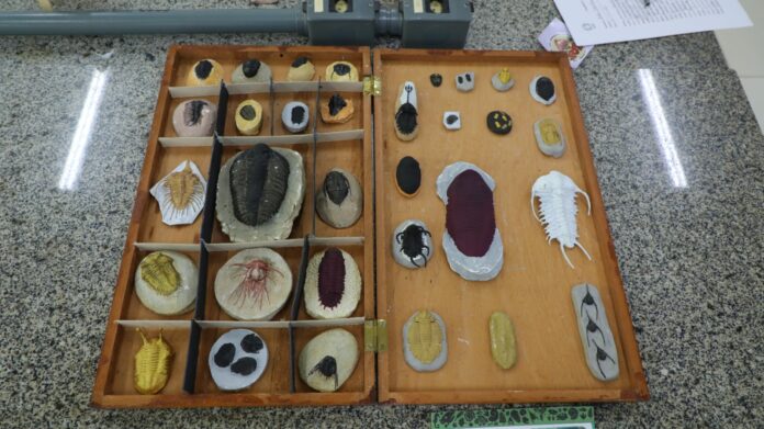 Fapeam inscrições abertas para Prospam e Coleções Biológicas seguem até abril. Confira prazos, requisitos e como participar.