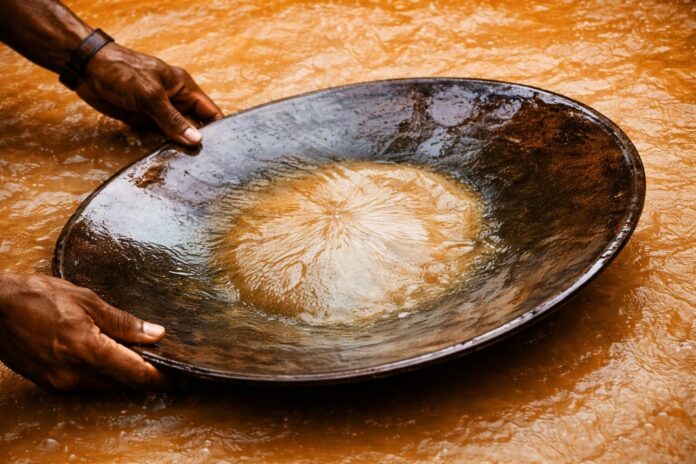 Oficina sobre mercúrio na Amazônia reúne especialistas para debater impactos na saúde e estratégias de prevenção em comunidades vulneráveis.