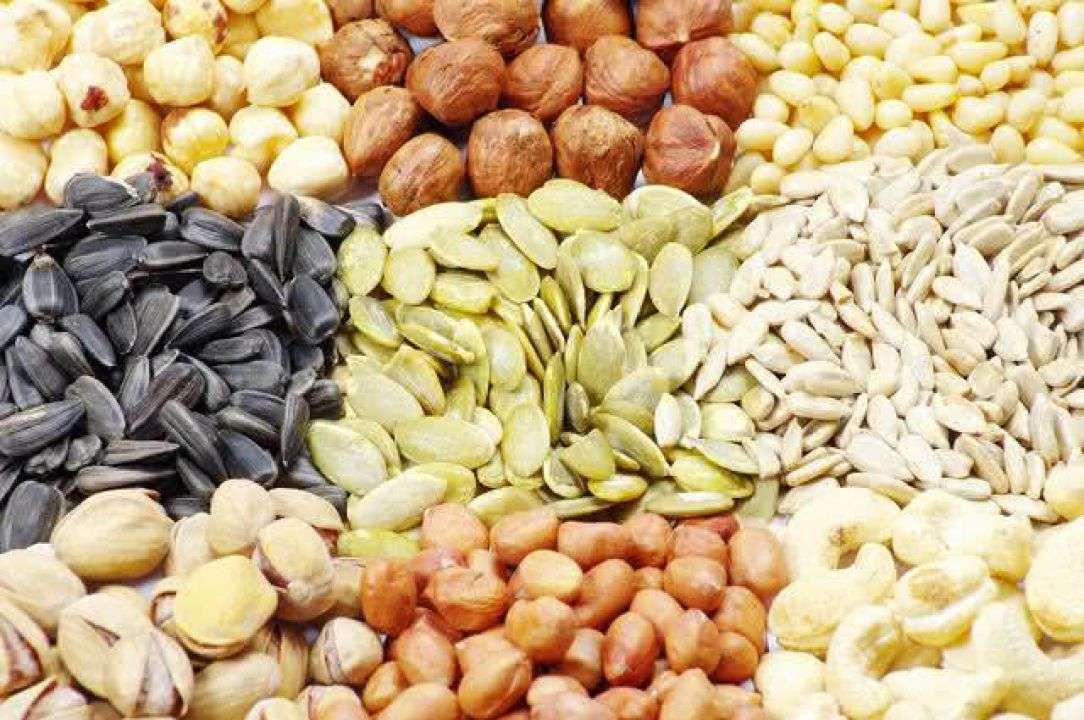 Conab investe R$ 35 milhões na aquisição de sementes da agricultura familiar. Prazo para envio de projetos termina em 13 de maio.