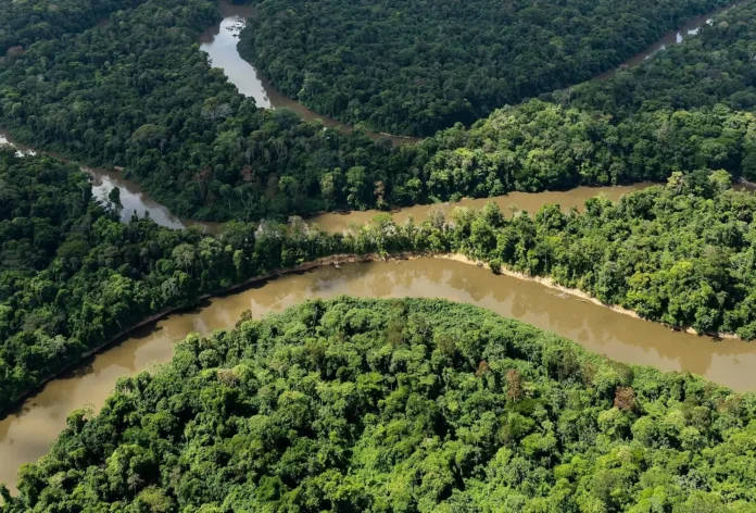BNDES capta R$ 4,1 bi na Alemanha para o Fundo Clima e projetos verdes, ampliando investimentos em sustentabilidade no Brasil.