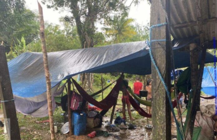 Justiça ordena que a União garanta o pagamento de benefícios sociais dentro dos territórios indígenas na Amazônia para evitar deslocamentos e vulnerabilidade.