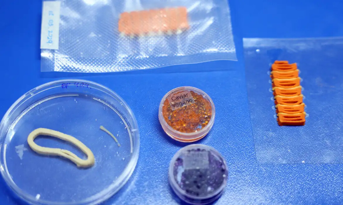 Embrapa desenvolve salmão vegano, caviar e lula impressos em 3D com ingredientes vegetais e composição nutricional semelhante.