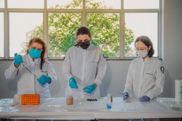 O programa Lidera Cientista/AM promove a liderança feminina na ciência com foco em inovação e biodiversidade. Inscrições abertas até 14 de maio pela Fapeam.