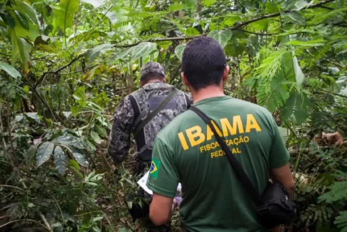 Fiscalização ambiental terá novas regras após aprovação de projeto que restringe ações do Ibama e ICMBio contra crimes ambientais.