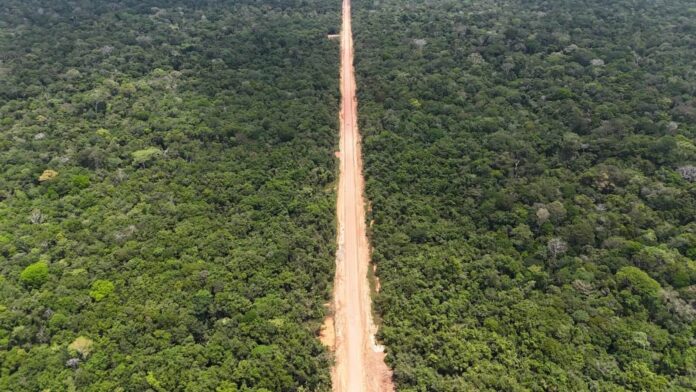 Ibama autoriza construção de três pontes no Trecho do Meio da BR-319 e avança recuperação da rodovia entre Amazonas e Rondônia.