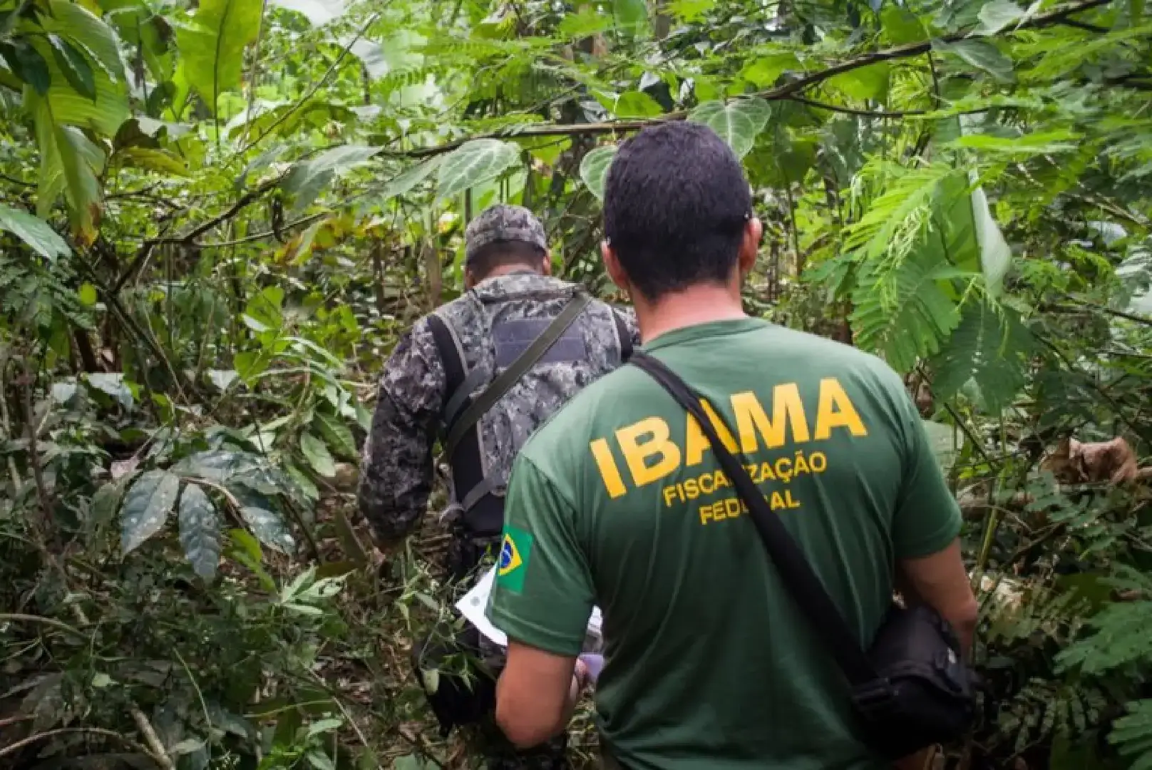 Fiscalização ambiental terá novas regras após aprovação de projeto que restringe ações do Ibama e ICMBio contra crimes ambientais.
