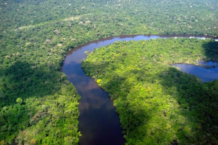 Amazonas reduz desmatamento em 14,6% em 2025, aponta relatório do MapBiomas com queda também nos alertas ambientais.