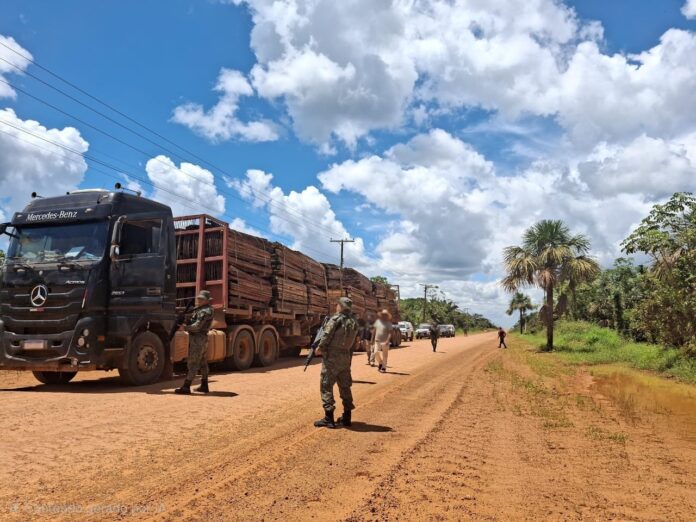 A Operação Tamoiotatá 6 aplicou R$ 57 milhões em multas contra o desmatamento ilegal no Amazonas.