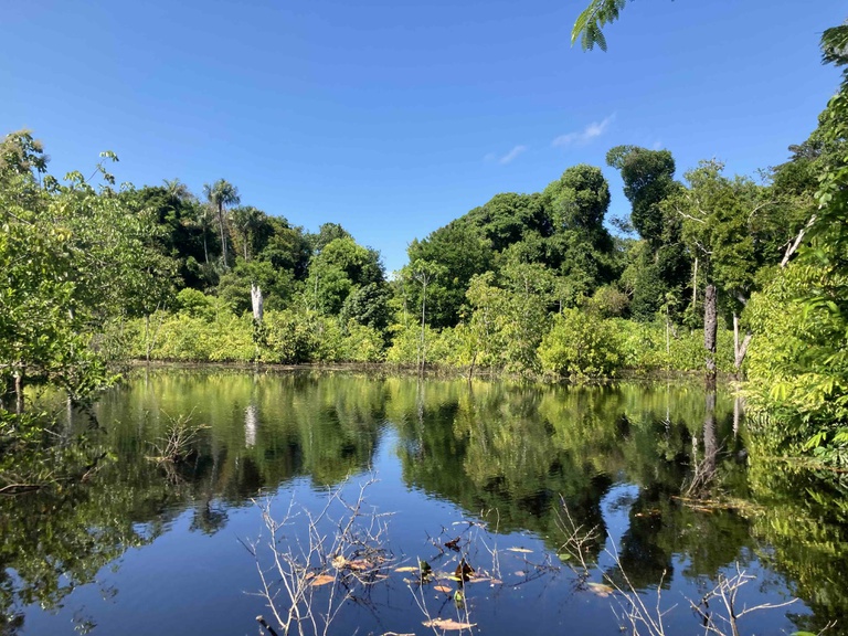 CNPq e Fapeam assinam acordo para financiar estudos sobre biodiversidade na Amazônia, unindo ciência e políticas públicas para a conservação do bioma.