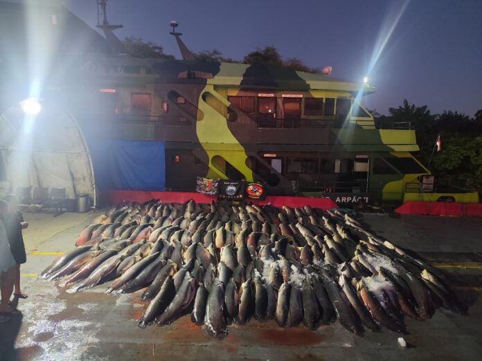 PMAM apreende 26 toneladas de pescado ilegal na Base Arpão 2, em Coari. Carga de pirarucu estava escondida em barco vindo de Tefé.