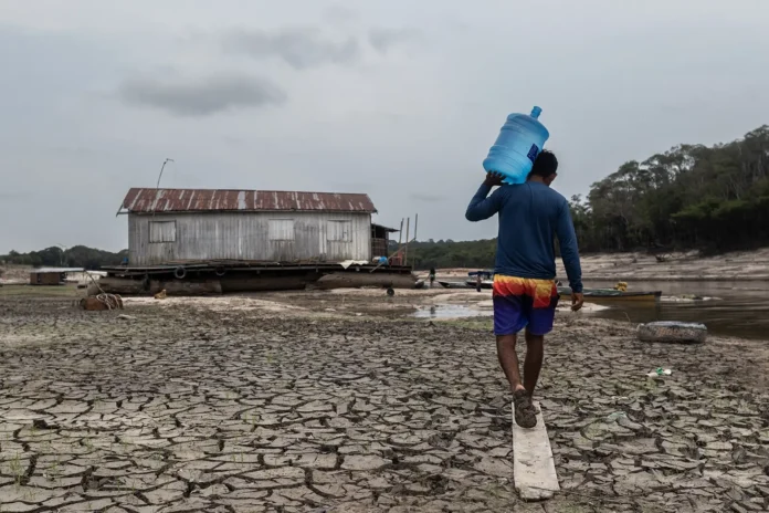 O avanço do El Niño até o final de 2026 eleva o risco de seca e calor extremo na Amazônia, acelerando a degradação ambiental e ameaçando a biodiversidade.