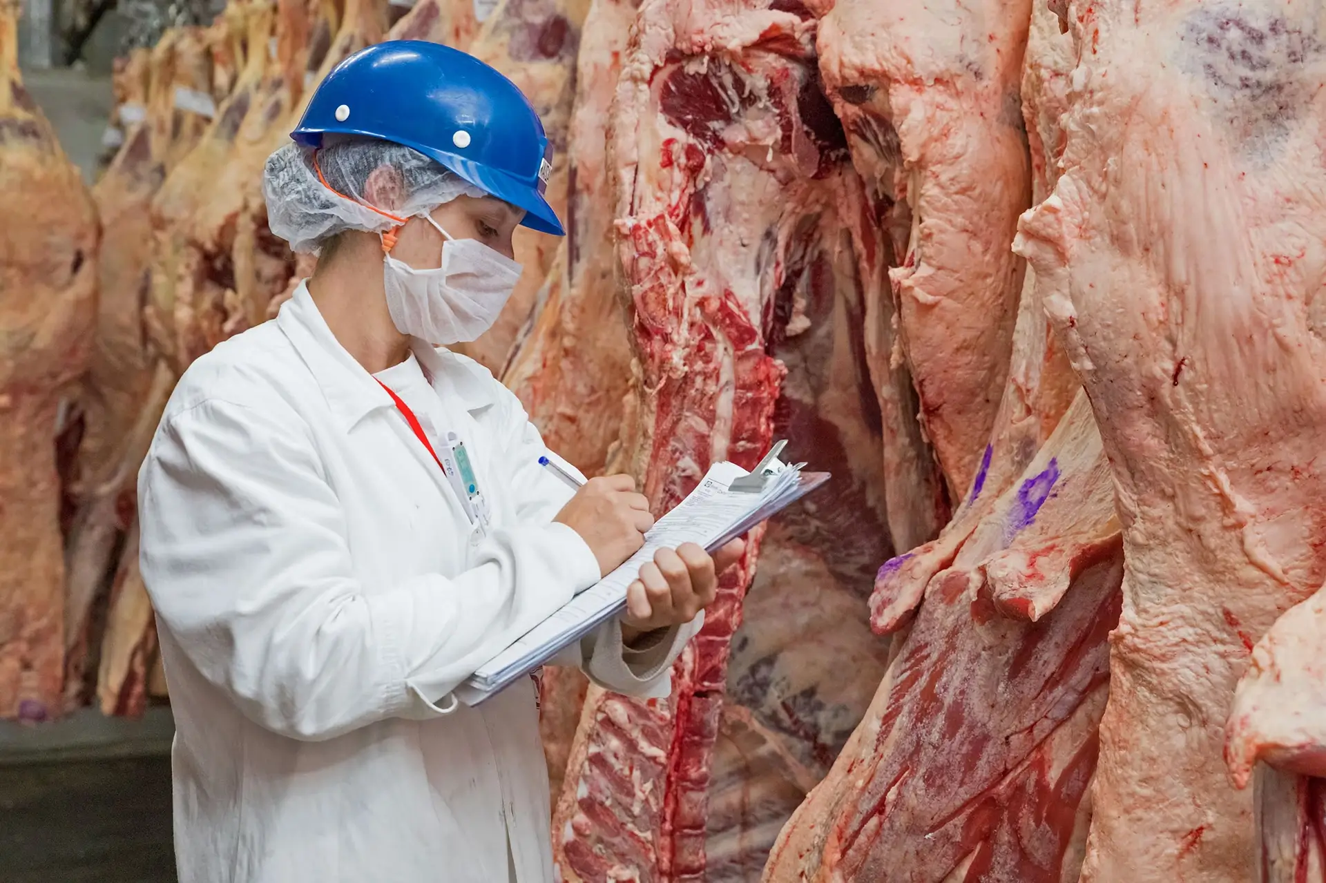 União Europeia exclui Brasil de lista para exportação de carne devido a normas de antibióticos.