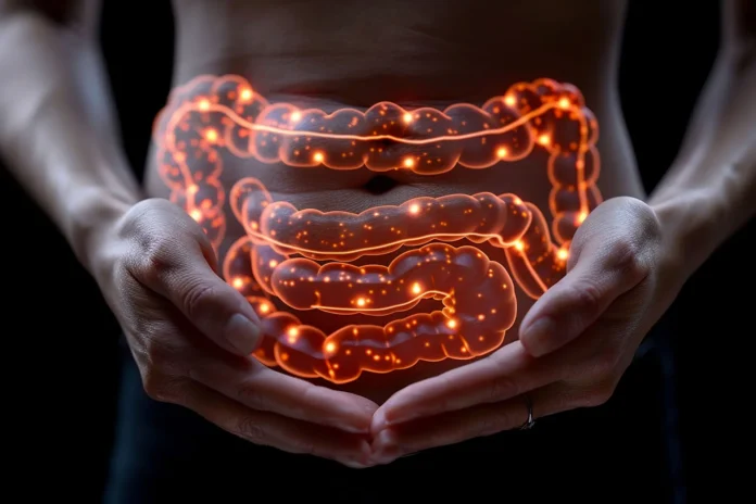 O SUS adotou o teste FIT para o rastreamento do câncer de intestino em pessoas sem sintomas.