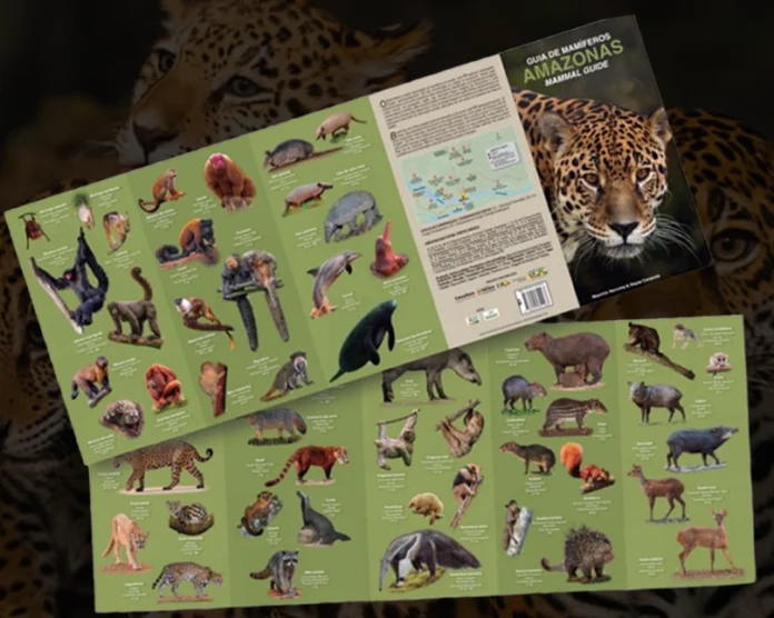 Guia de Mamíferos do Amazonas apresenta 56 espécies da fauna amazônica e incentiva educação ambiental e turismo sustentável.