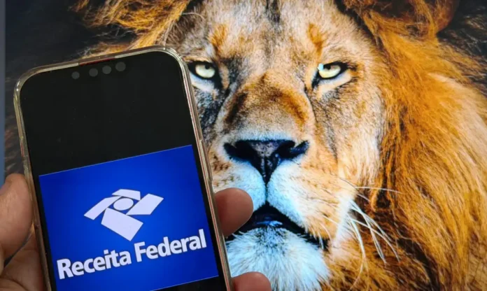 O prazo de entrega do Imposto de Renda termina nesta sexta-feira (29).