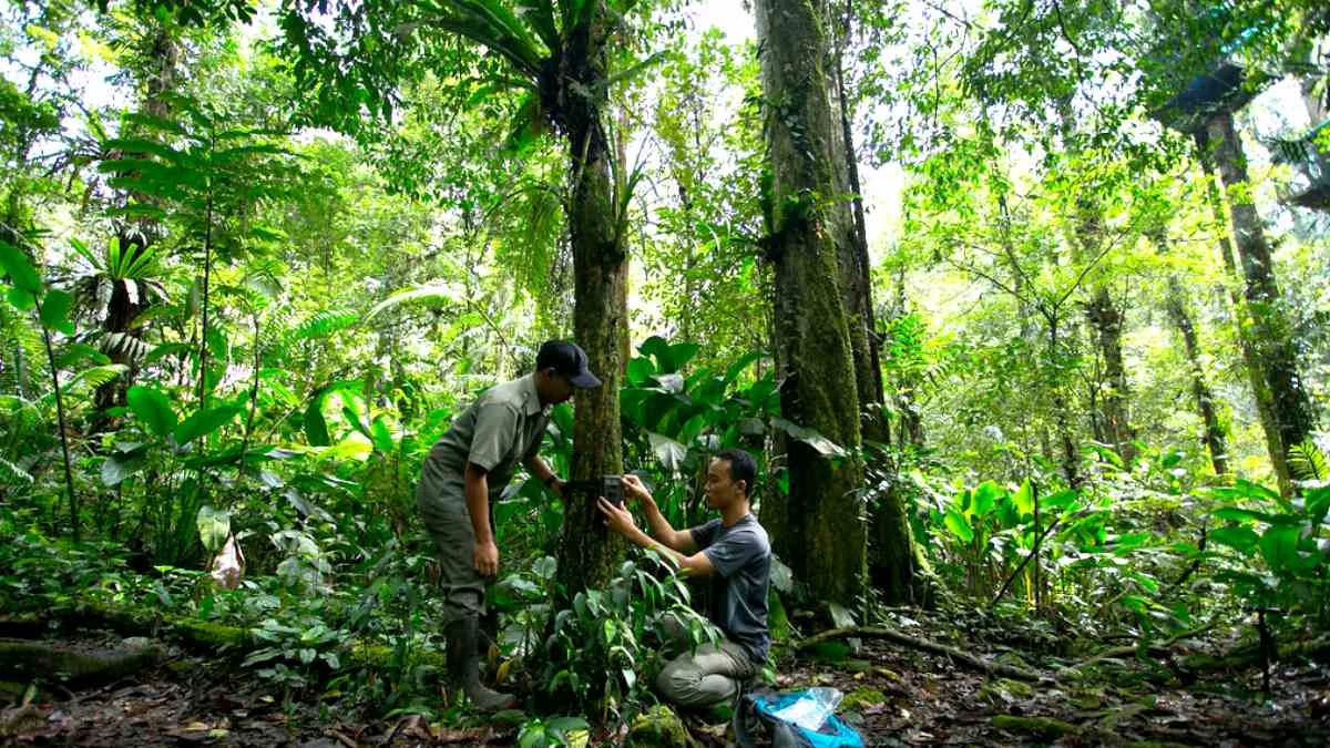 O Amazonas registrou 116 pessoas em programa de proteção após denúncias de crimes ambientais em 2025.