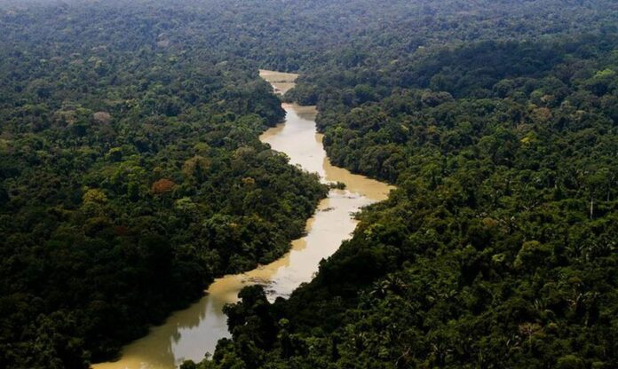 Projeto aprovado na Câmara altera limites do Jamanxim e flexibiliza proteção na Amazônia para permitir atividades econômicas.