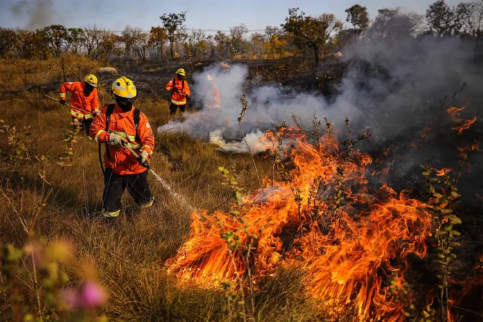 Governo destina R$ 337,5 milhões para combate a incêndios florestais e fiscalização ambiental pelo Ibama e ICMBio.