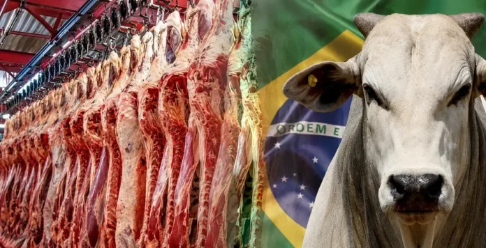 Relatório dos EUA aponta trabalho forçado na pecuária brasileira, mas governo Trump concede isenção tarifária para proteger mercado interno de carnes.