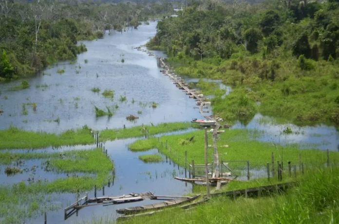 Governo lança concessão da Flona Balata-Tufari no AM com manejo sustentável, investimentos e ações de proteção na Amazônia.