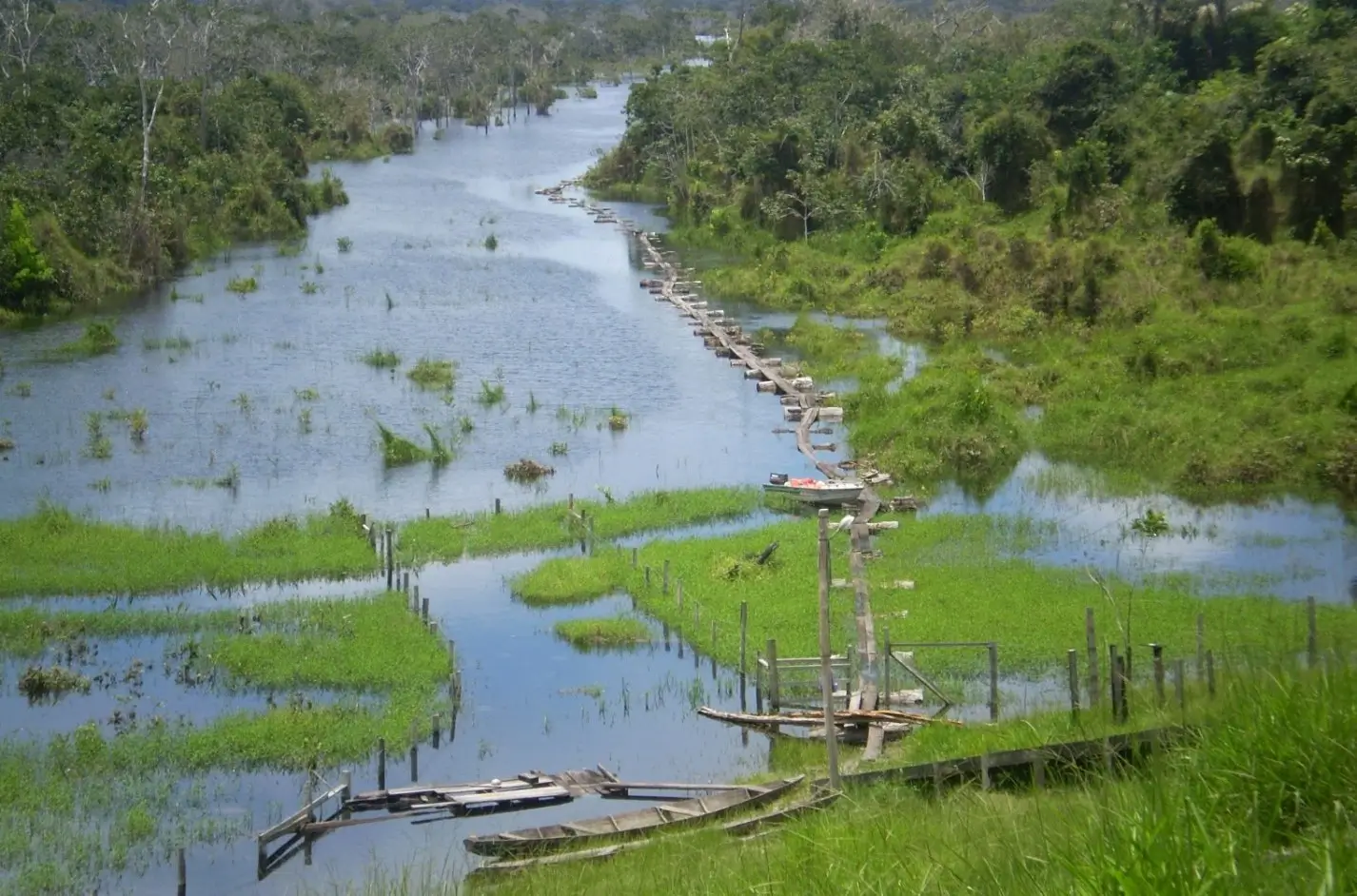 Governo lança concessão da Flona Balata-Tufari no AM com manejo sustentável, investimentos e ações de proteção na Amazônia.